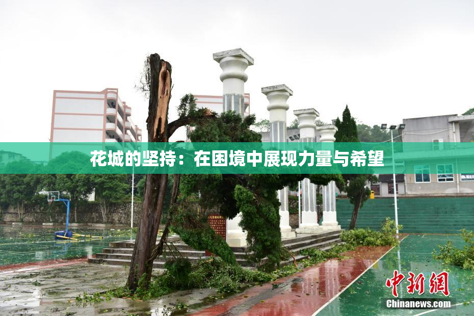 花城的坚持：在困境中展现力量与希望