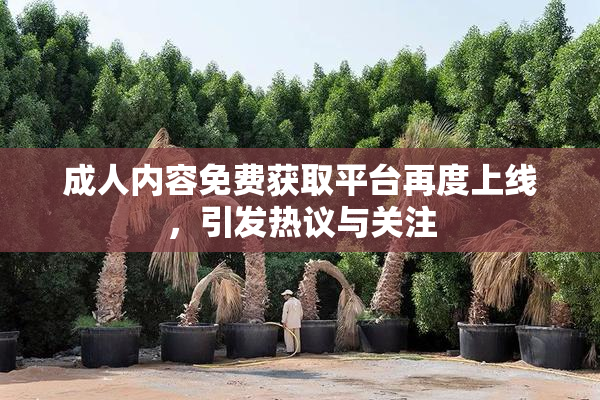 成人内容免费获取平台再度上线，引发热议与关注