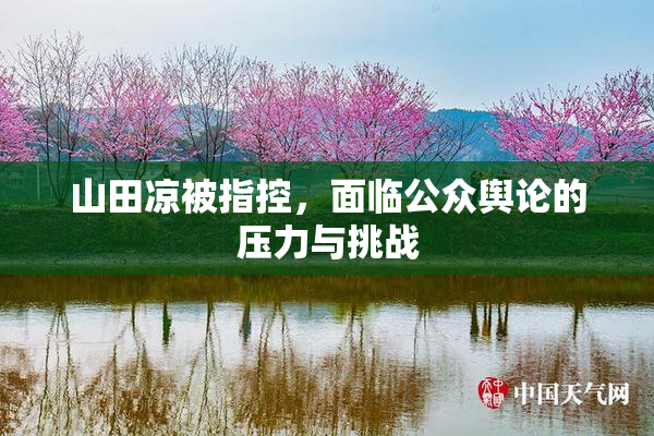 山田凉被指控，面临公众舆论的压力与挑战
