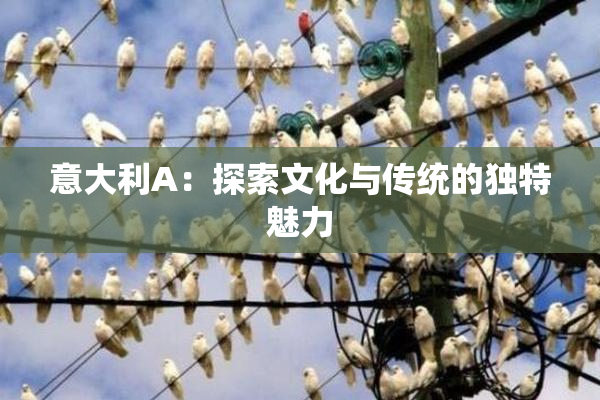 意大利A：探索文化与传统的独特魅力