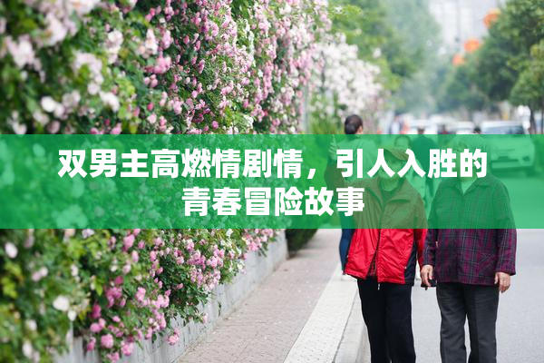 双男主高燃情剧情，引人入胜的青春冒险故事