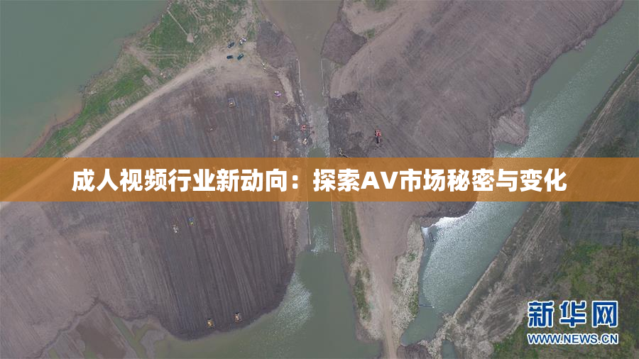 成人视频行业新动向：探索AV市场秘密与变化