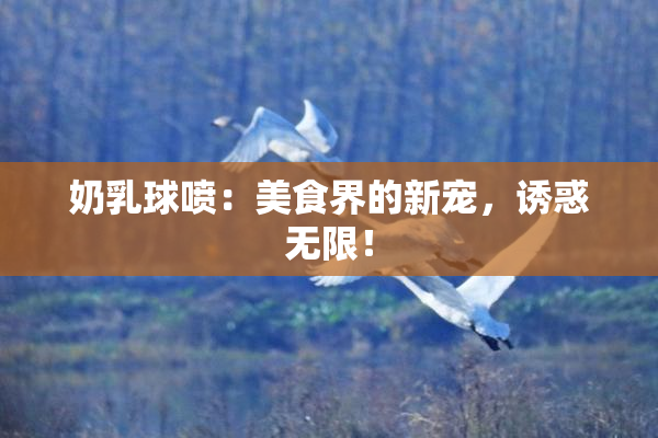 奶乳球喷：美食界的新宠，诱惑无限！