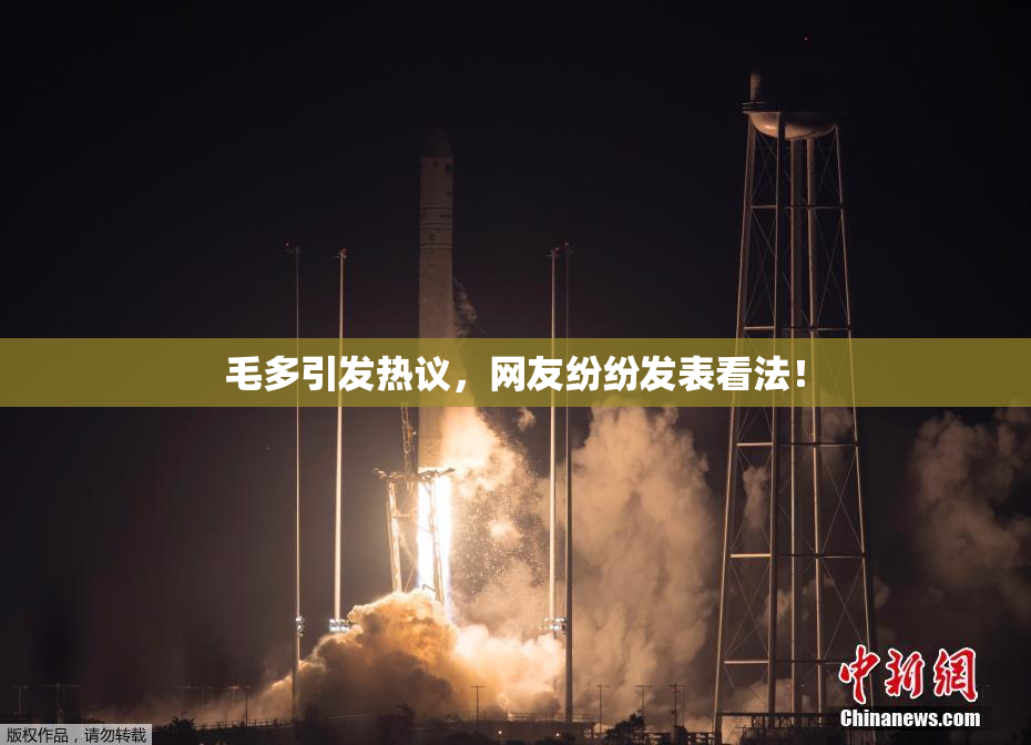 毛多引发热议，网友纷纷发表看法！