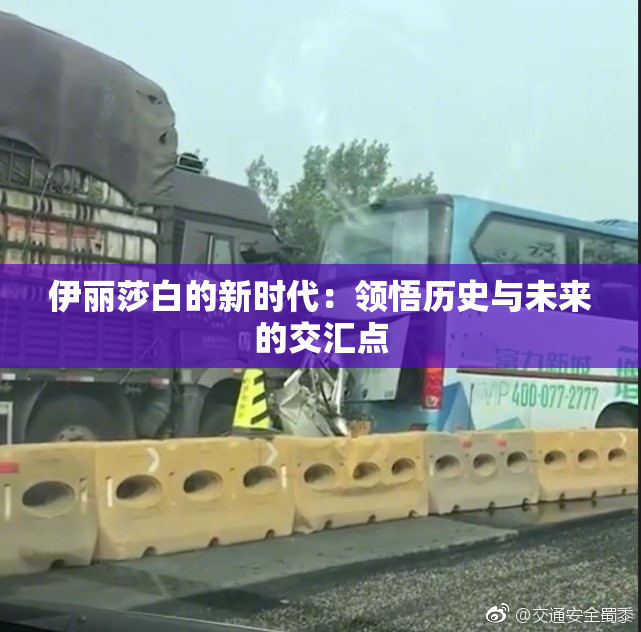 伊丽莎白的新时代：领悟历史与未来的交汇点