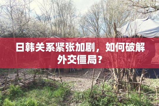 日韩关系紧张加剧，如何破解外交僵局？