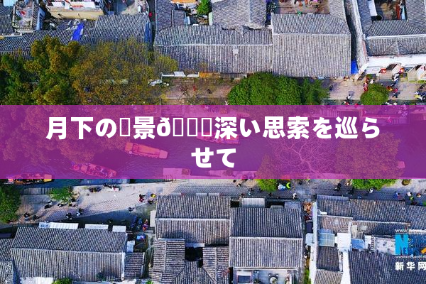 月下の風景🎆深い思索を巡らせて
