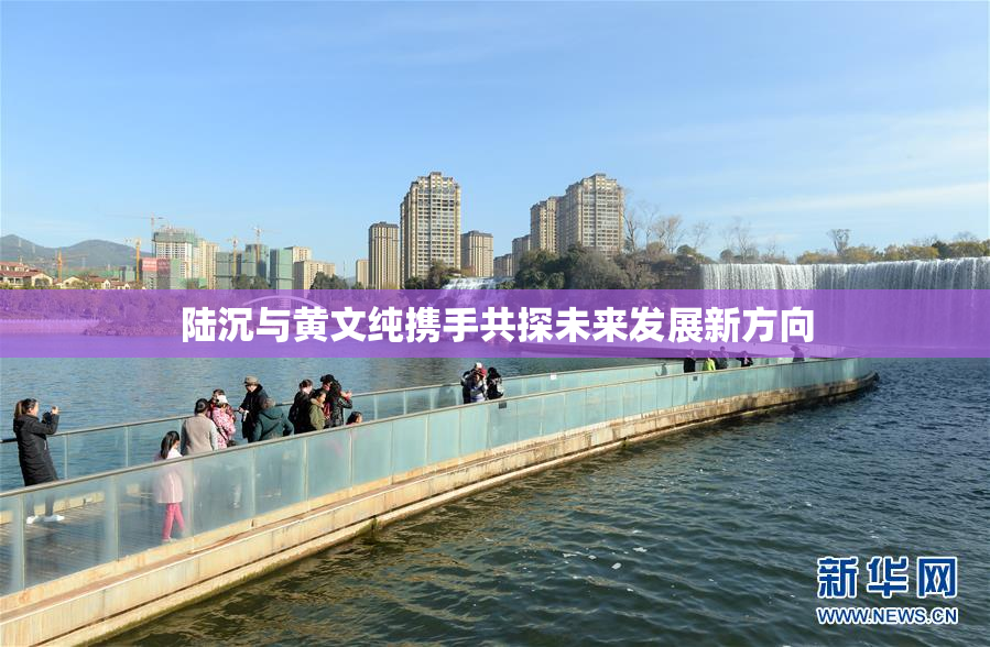 陆沉与黄文纯携手共探未来发展新方向