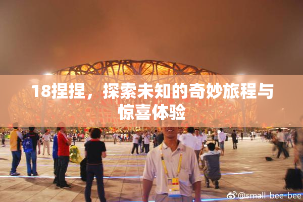 18捏捏，探索未知的奇妙旅程与惊喜体验