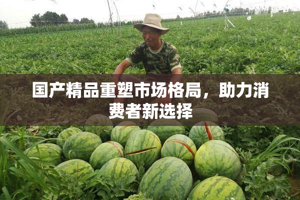 国产精品重塑市场格局，助力消费者新选择
