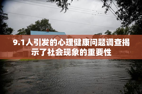 9.1人引发的心理健康问题调查揭示了社会现象的重要性