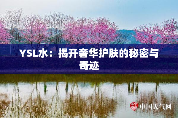 YSL水：揭开奢华护肤的秘密与奇迹