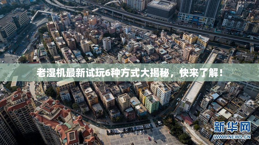 老湿机最新试玩6种方式大揭秘，快来了解！