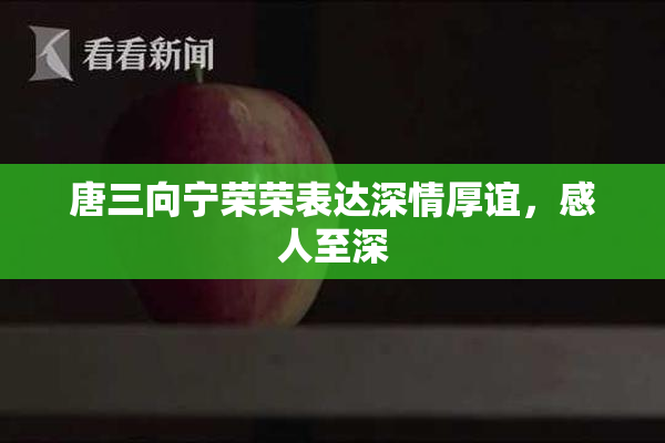 唐三向宁荣荣表达深情厚谊，感人至深
