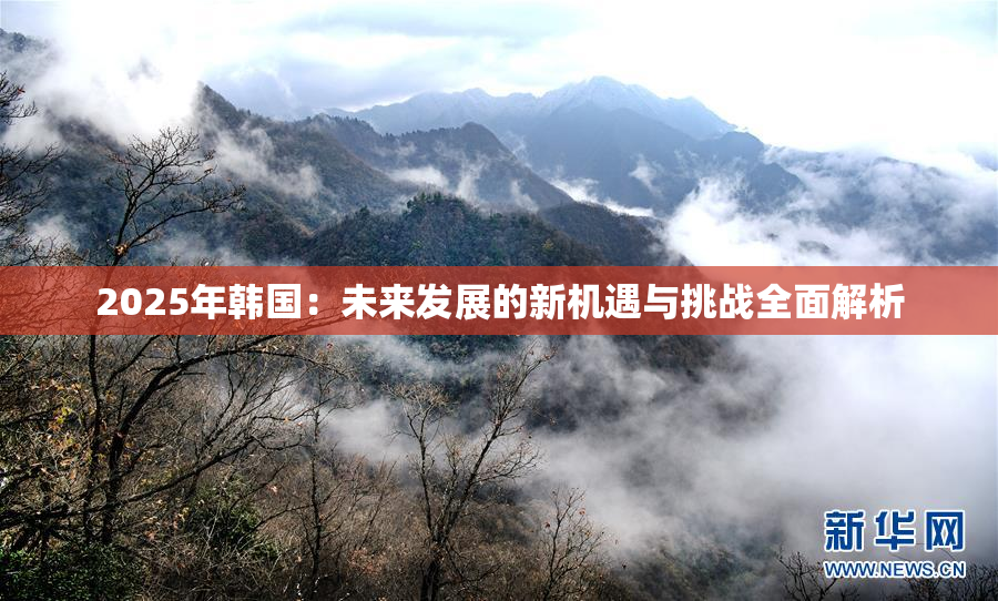 2025年韩国：未来发展的新机遇与挑战全面解析