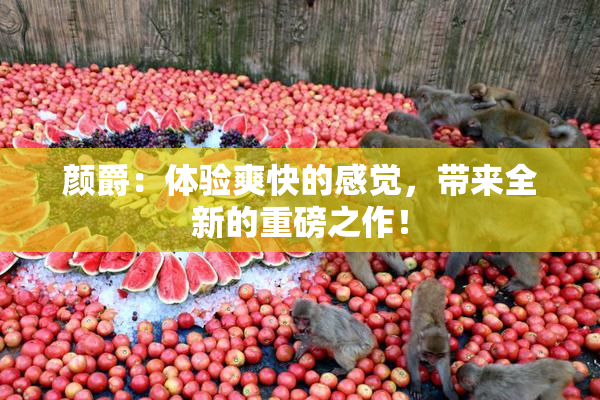 颜爵：体验爽快的感觉，带来全新的重磅之作！