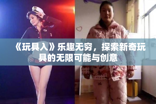 《玩具入》乐趣无穷，探索新奇玩具的无限可能与创意