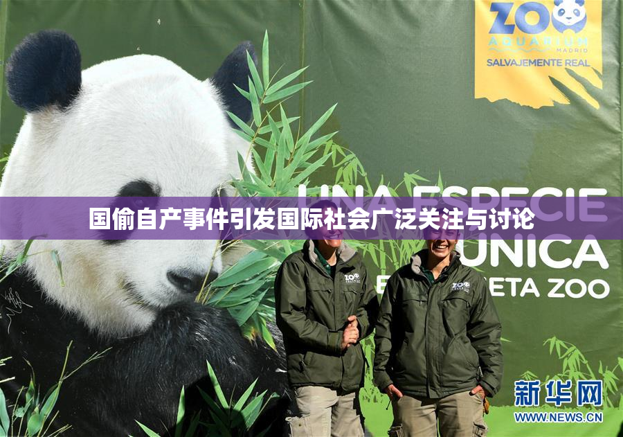 国偷自产事件引发国际社会广泛关注与讨论