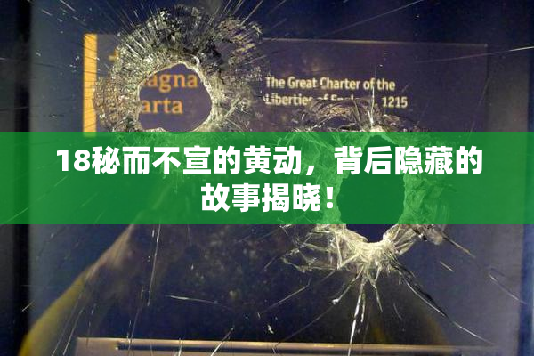 18秘而不宣的黄动，背后隐藏的故事揭晓！