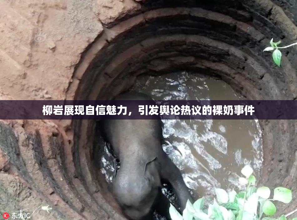 柳岩展现自信魅力，引发舆论热议的裸奶事件
