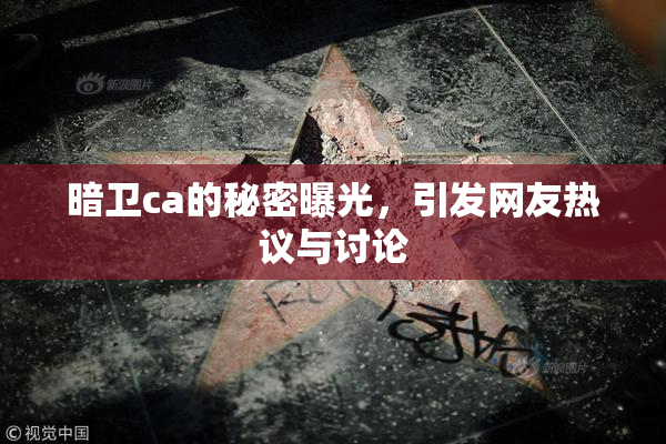 暗卫ca的秘密曝光，引发网友热议与讨论