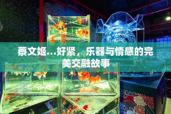 蔡文姬…好紧，乐器与情感的完美交融故事
