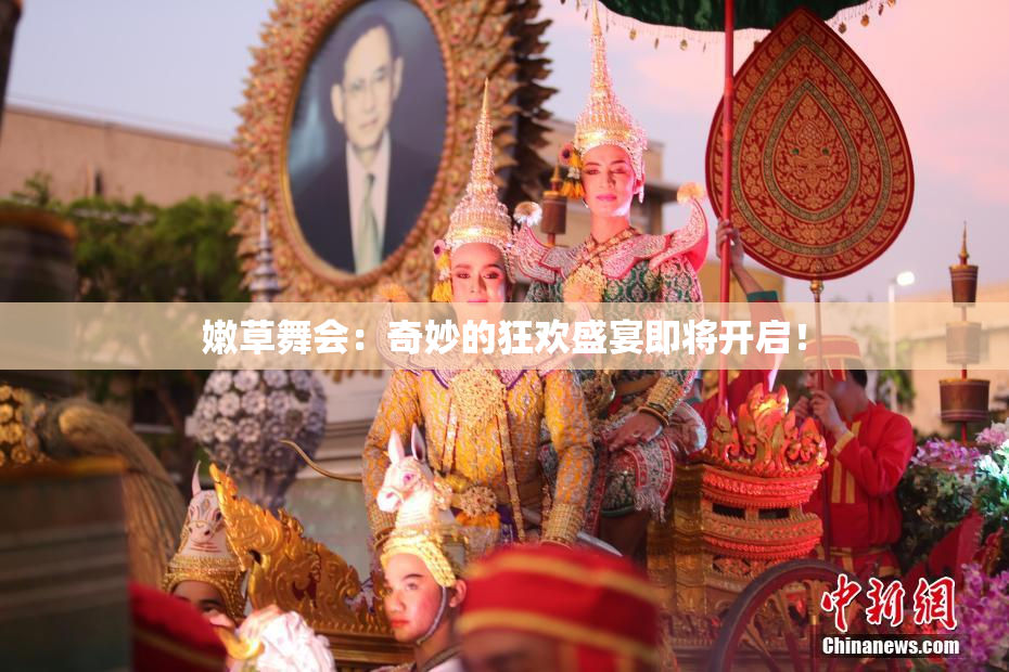 嫩草舞会：奇妙的狂欢盛宴即将开启！