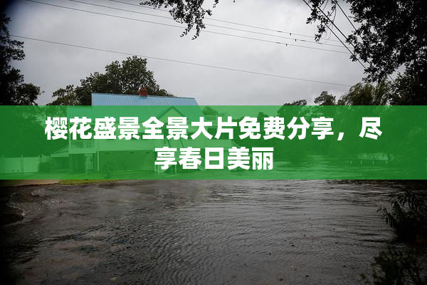 樱花盛景全景大片免费分享，尽享春日美丽