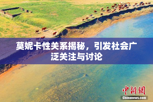 莫妮卡性关系揭秘，引发社会广泛关注与讨论