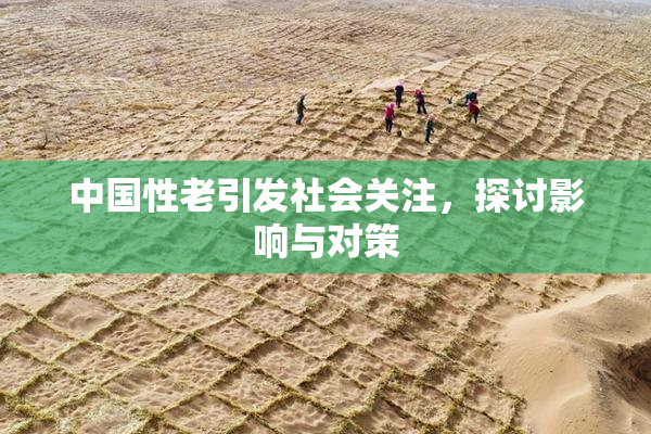 中国性老引发社会关注，探讨影响与对策