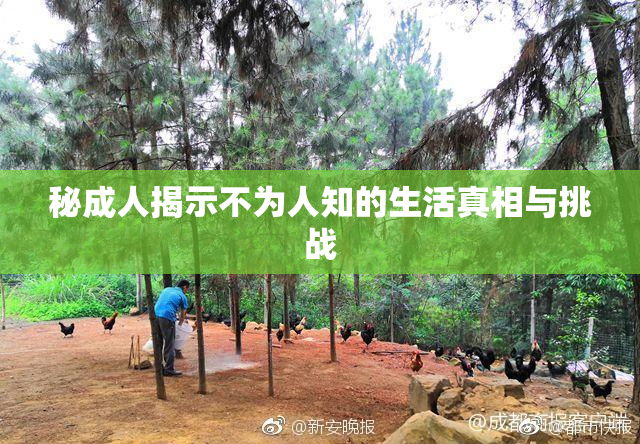 秘成人揭示不为人知的生活真相与挑战