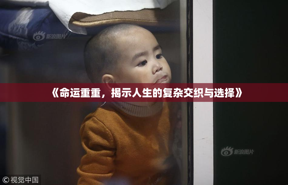 《命运重重，揭示人生的复杂交织与选择》