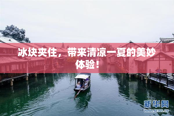 冰块夹住，带来清凉一夏的美妙体验！