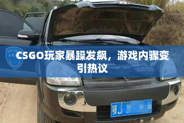 CSGO玩家暴躁发飙，游戏内骤变引热议