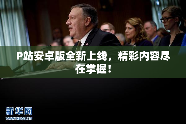 P站安卓版全新上线，精彩内容尽在掌握！
