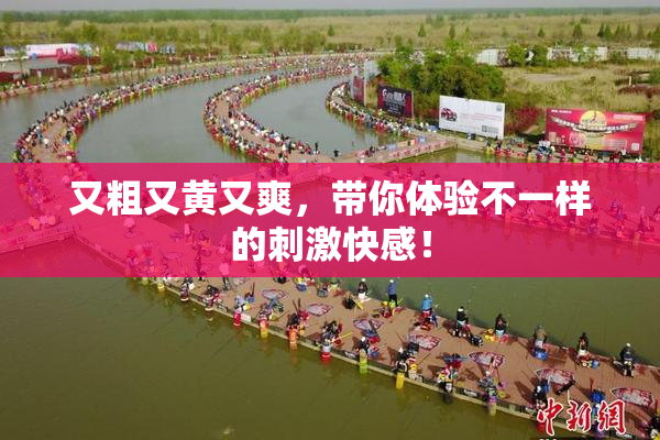 又粗又黄又爽，带你体验不一样的刺激快感！