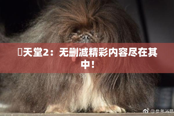 妺天堂2：无删减精彩内容尽在其中！
