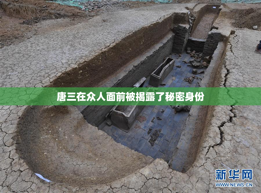 唐三在众人面前被揭露了秘密身份