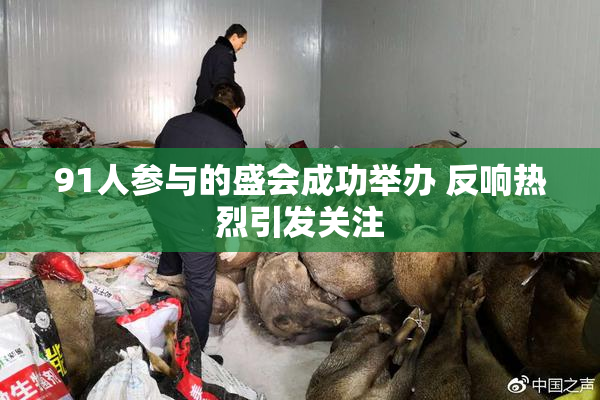 91人参与的盛会成功举办 反响热烈引发关注