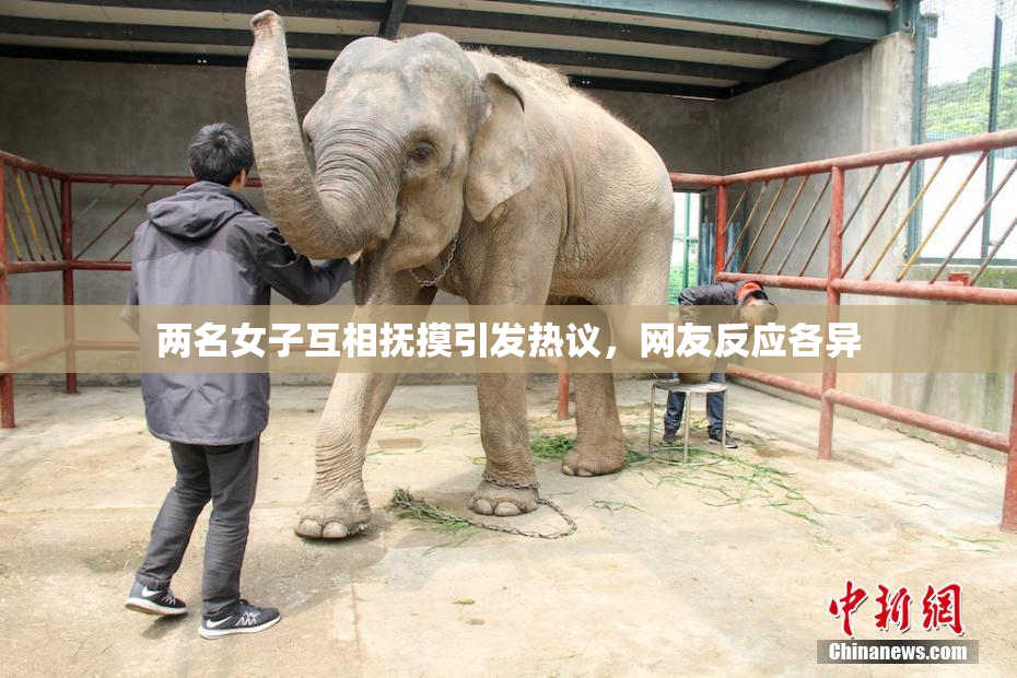 两名女子互相抚摸引发热议，网友反应各异