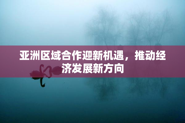 亚洲区域合作迎新机遇，推动经济发展新方向