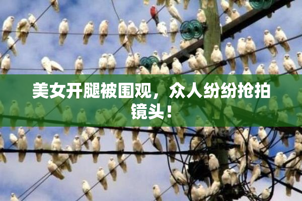 美女开腿被围观，众人纷纷抢拍镜头！