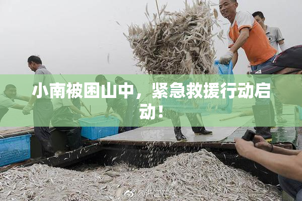 小南被困山中，紧急救援行动启动！