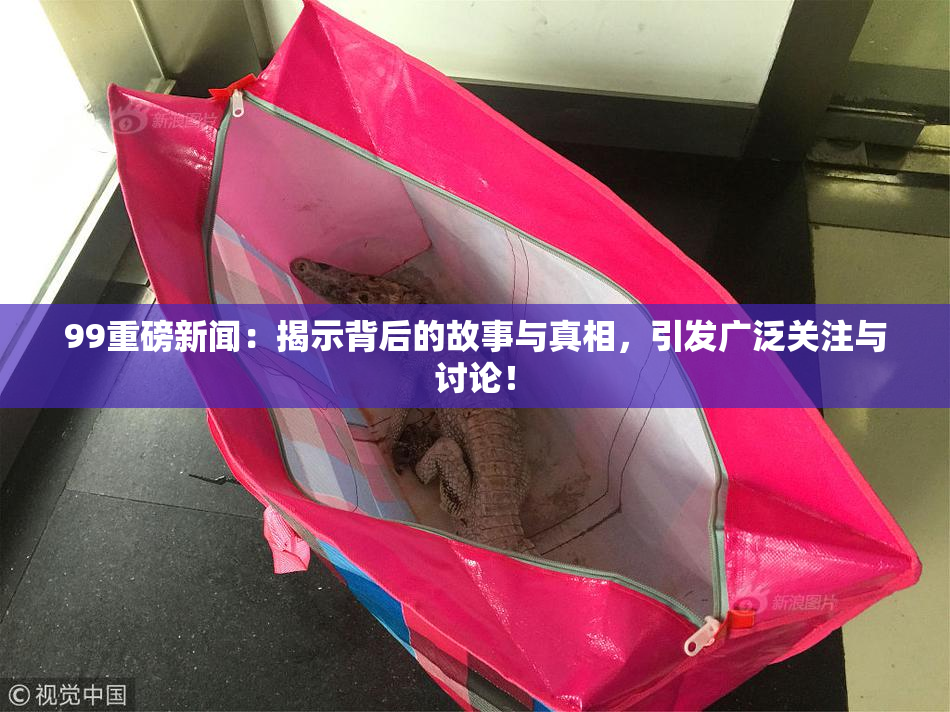 99重磅新闻：揭示背后的故事与真相，引发广泛关注与讨论！