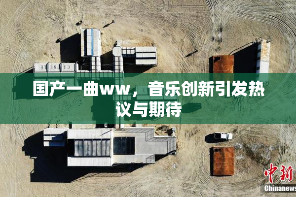 国产一曲ww，音乐创新引发热议与期待