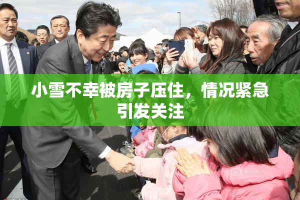 小雪不幸被房子压住，情况紧急引发关注