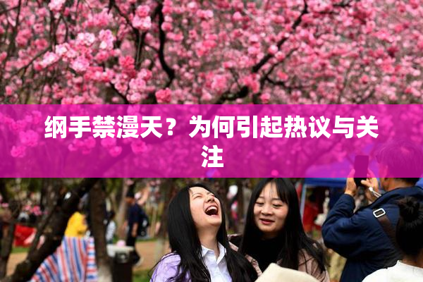 纲手禁漫天？为何引起热议与关注