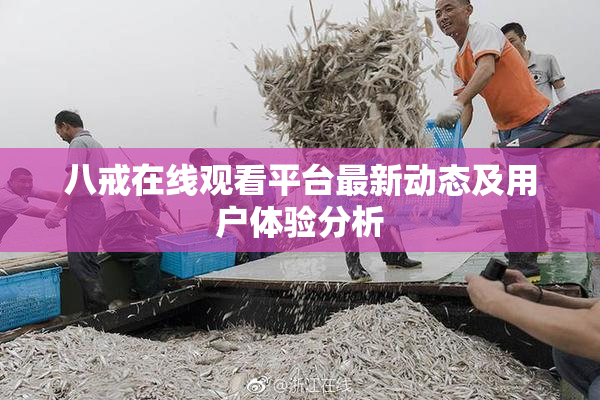 八戒在线观看平台最新动态及用户体验分析