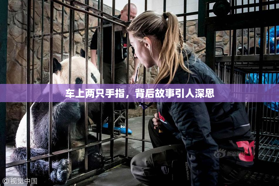 车上两只手指，背后故事引人深思