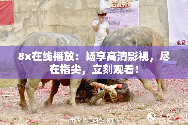 8x在线播放：畅享高清影视，尽在指尖，立刻观看！
